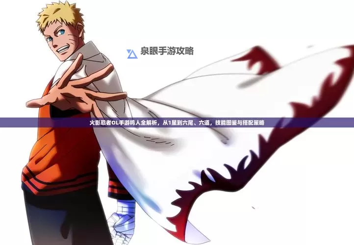 手游锤石一刀流出装解析：最佳搭配方案推荐图2