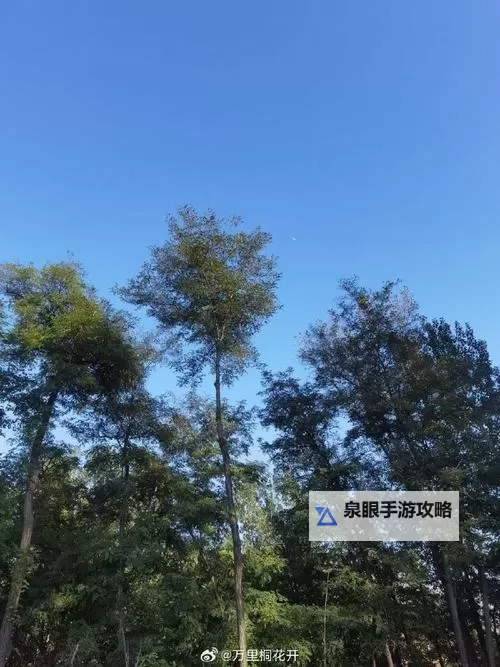 色天使中国：探索多彩娱乐背后的魅力与文化图1