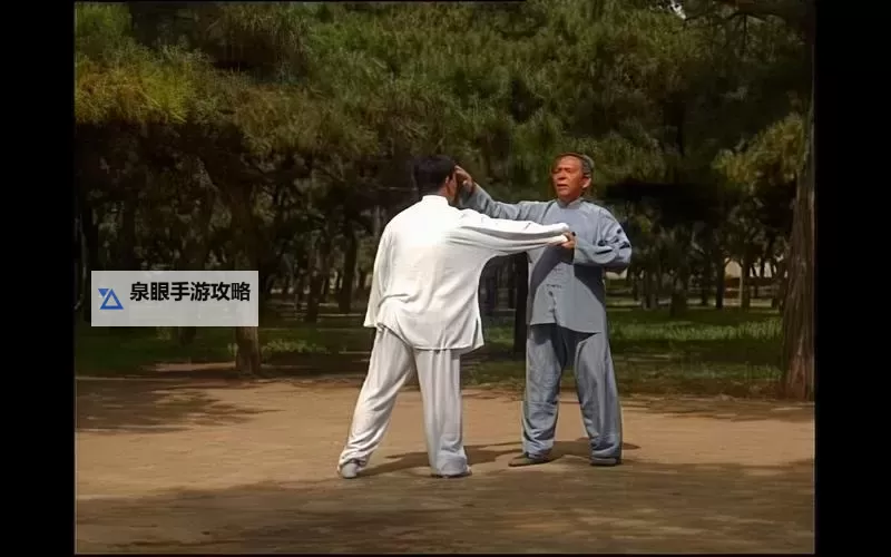 揭秘道云龙混元24式背面：细节解析与实战应用图1