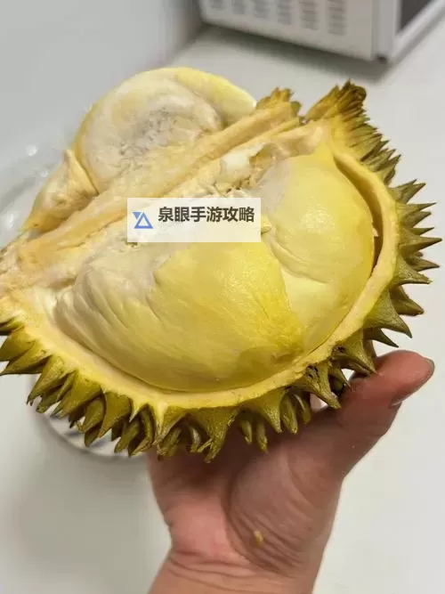 榴莲视频在线观看 无限看：畅享高品质在线观看体验图2