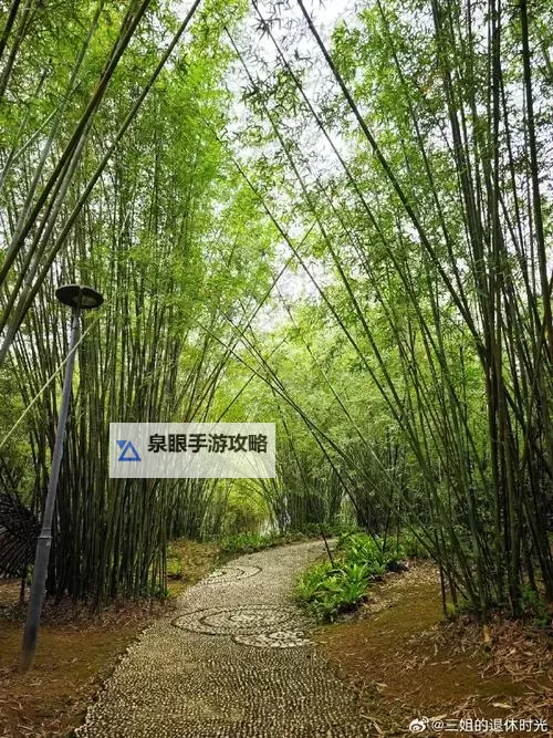 《精彩不断！龙渊修罗最新章节全新上线》图1