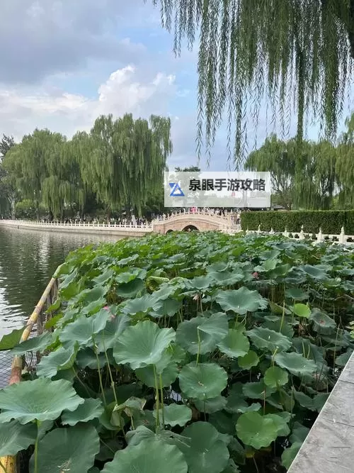 亚洲av网址在线观看:最新安全在线观看指南图2