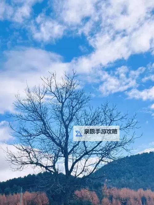 亚洲av最近最新：2024年最全更新指南抢先看图1