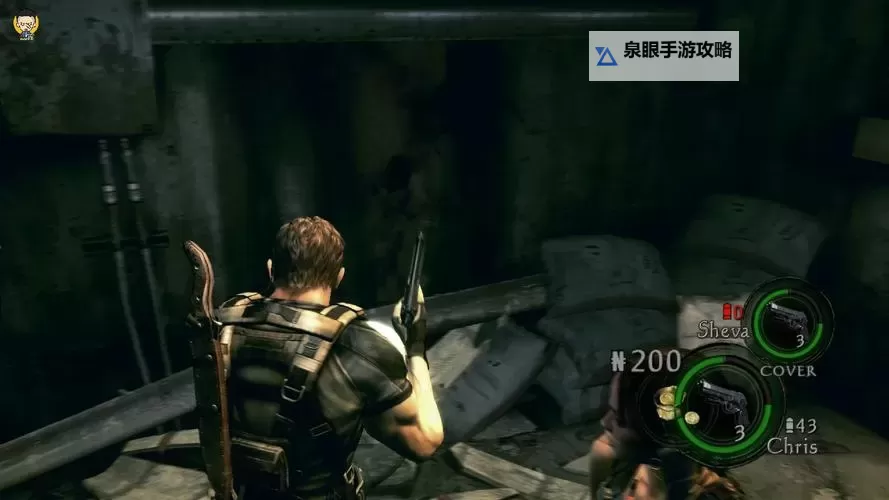 生化危机5隐藏物品攻略：全面收集指南图2