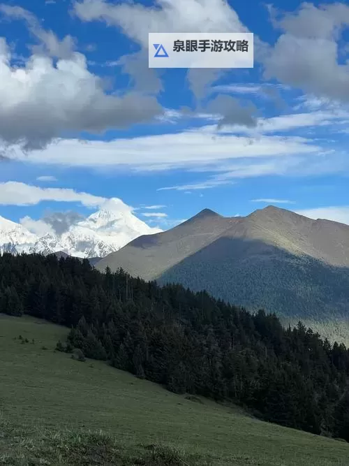 探索SiS001Board第一会所亚州无码：全新体验尽在其中图1