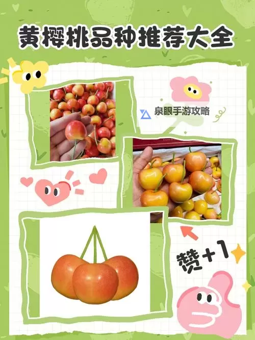 发现精彩内容：樱桃黄色网址推荐指南图2