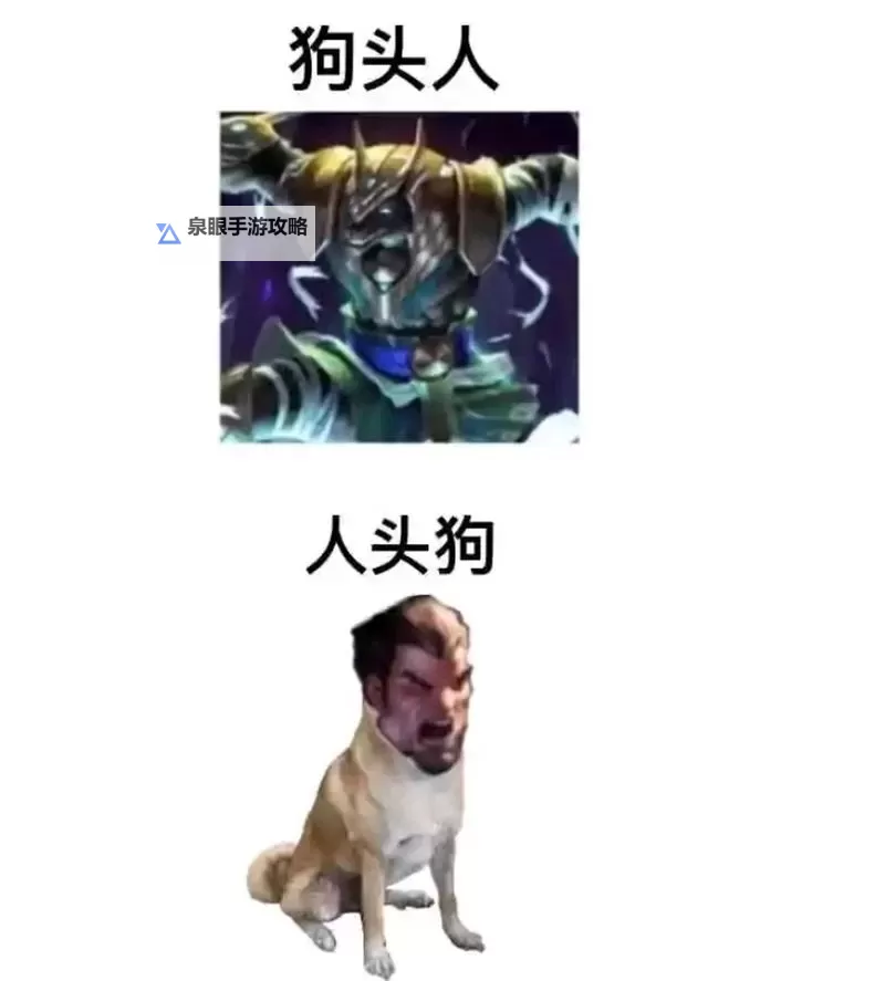 狗头辅助让人感到恶心，究竟为什么这么令人反感？图1