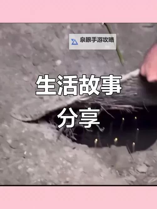 在车子颠簸中进了老师的身体——一次意外的奇遇图1