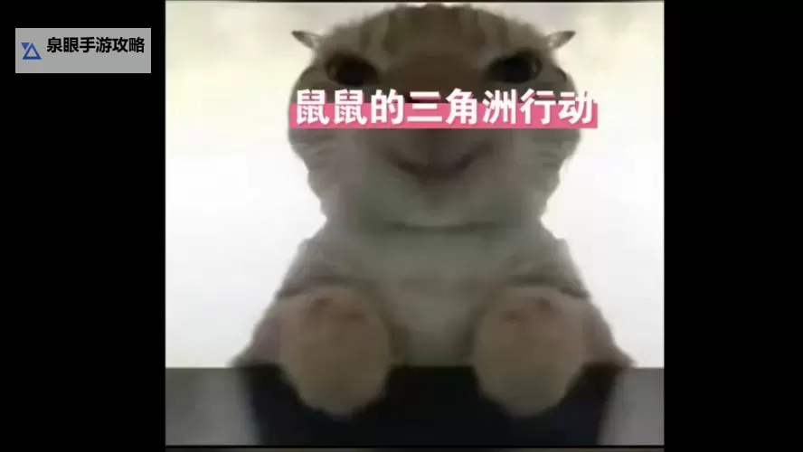 《三角洲行动》鼠王历险记图1