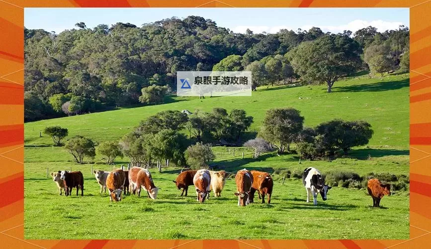 赶牛怎么喊:掌握正确的方法让牧场更高效图1