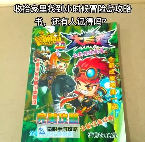 完整指南：冒险岛NDS游戏攻略详解图1