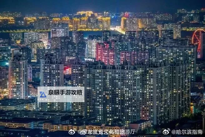 夜晚一区二区:静谧夜色中的隐秘之旅图1