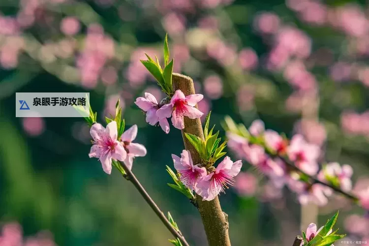 魔灵先锋怎么双开 魔灵先锋双开挂机软件推荐图1