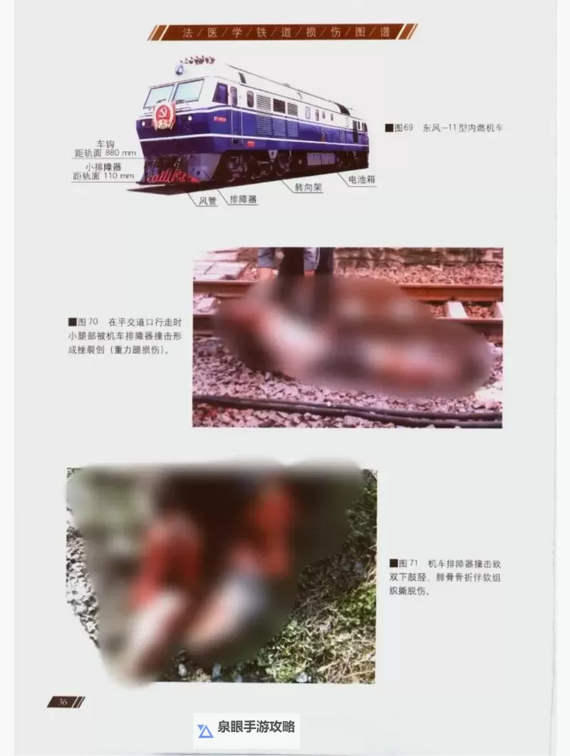 【高清在线看】尸变图鉴电子版在线观看，全面揭秘神秘恐怖场景图1