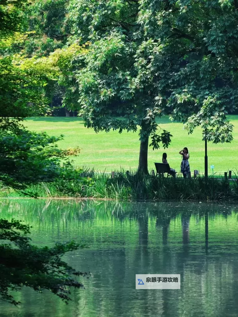 探索中国国产免费毛卡片：品质与创新并驾齐驱图1