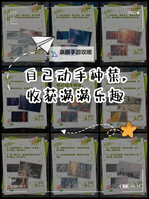 《这是我的战争》种菜流玩法图文解析 种菜流怎么玩图1