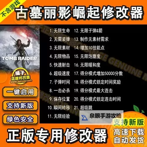 《古墓丽影崛起》修改器及使用方法 修改器怎么用图2