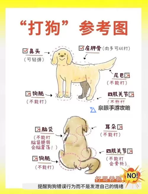 如何有效训练：怎样教狗狗进入自己，建立信任与依赖图1