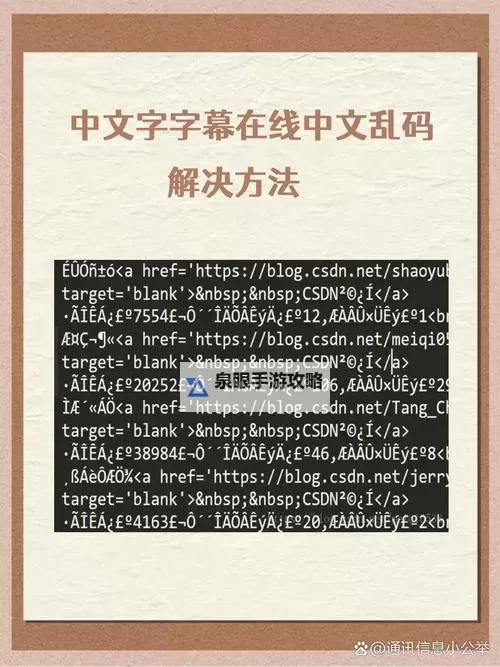 【必看】中文字幕导入乱码解决方法详解与技巧图1