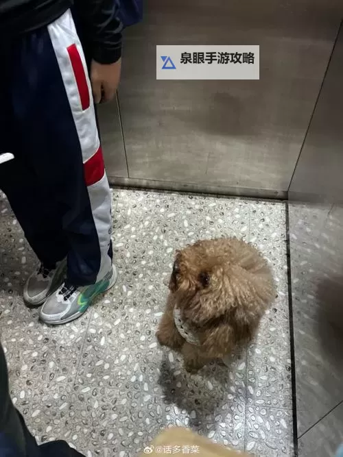 自己坐下来不疼乖乖的:温暖的守护与安心的陪伴图1