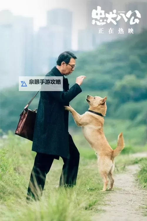 感人至深：《忠犬八公国语版》温情演绎人间真情图1