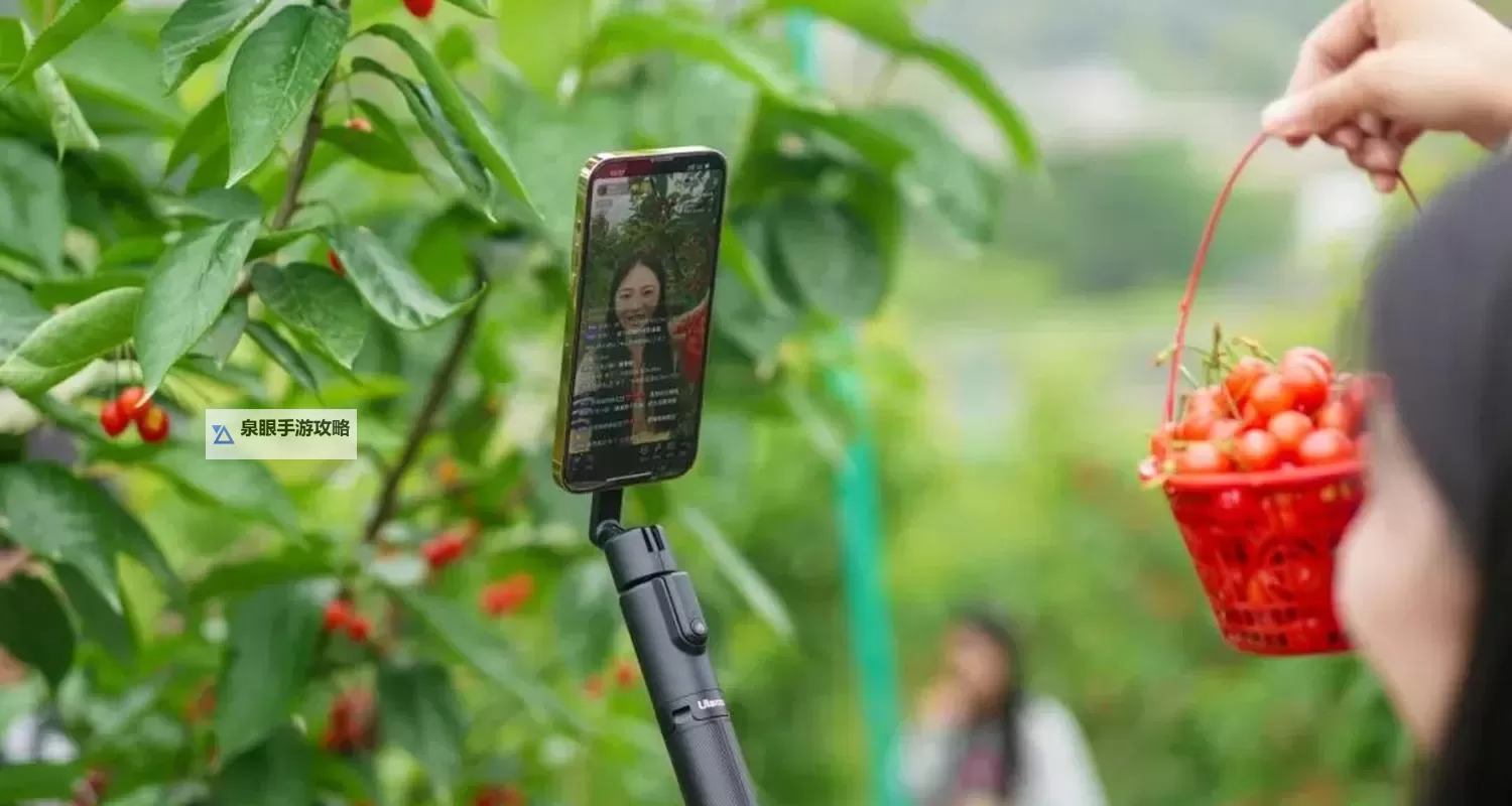 樱桃直播网址导航:最新最全的在线观看平台推荐图1