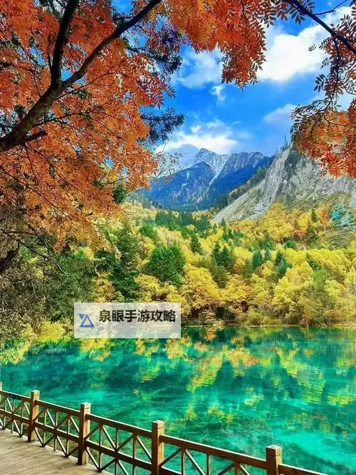 揭秘中国十大黑帮老大:暗影中的权力巨头图2