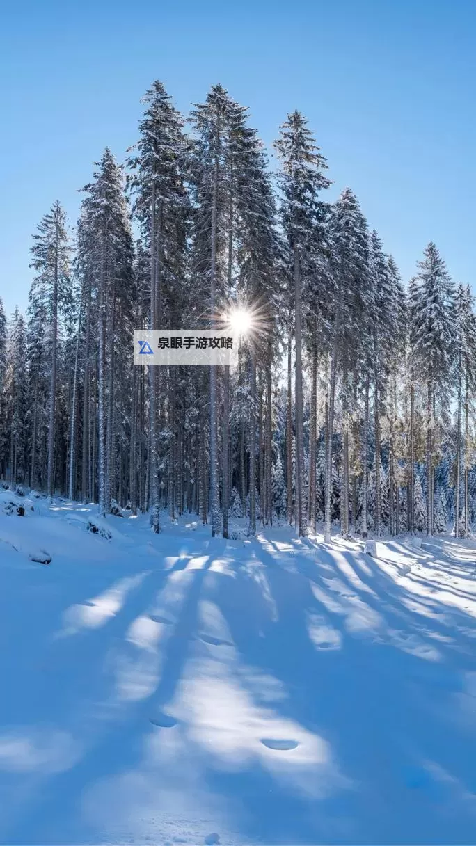 揭秘中国十大黑帮老大:暗影中的权力巨头图1