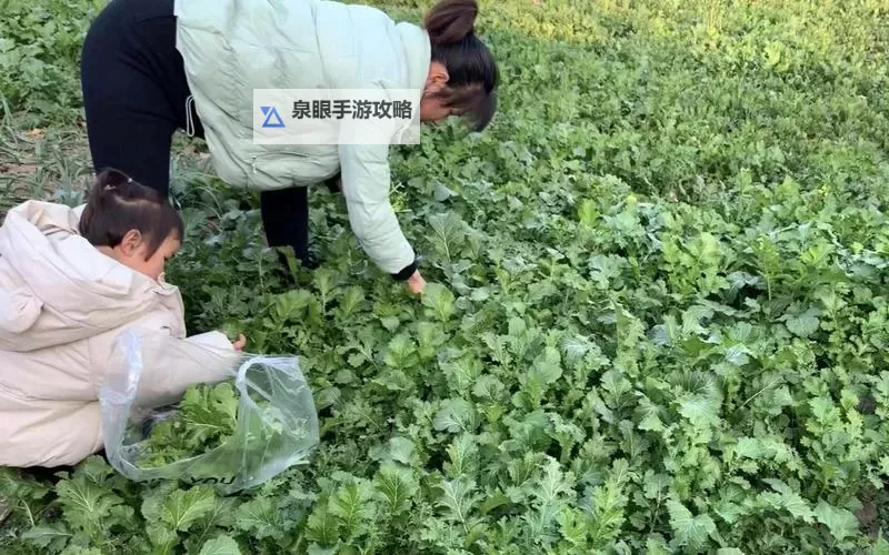 探索精彩纷呈的婷婷的基地世界图1