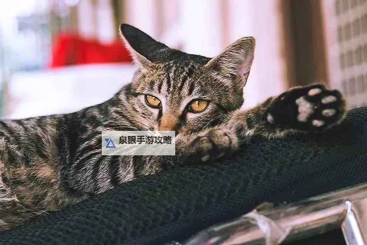 探索奇幻世界：畅享maomi国产一区的精彩内容图1