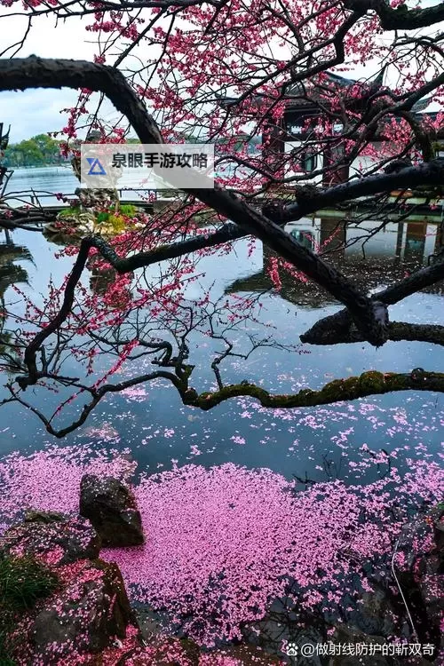 桃花深处水潺潺：春日里的秘密花园图1
