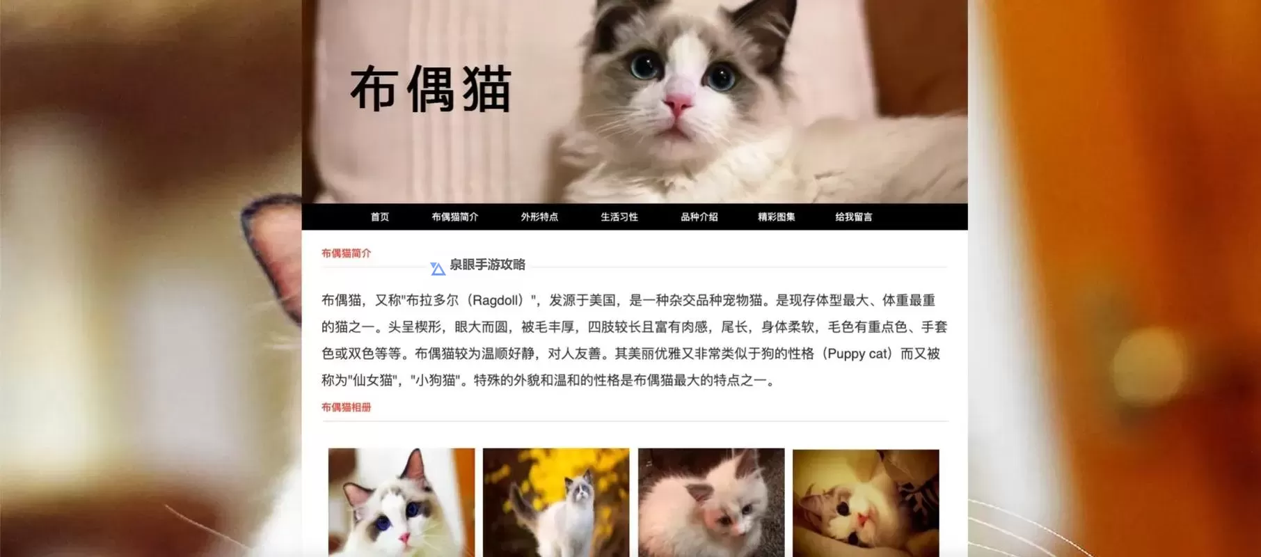 探索趣味:猫咪成人网站背后的秘密与娱乐体验图1
