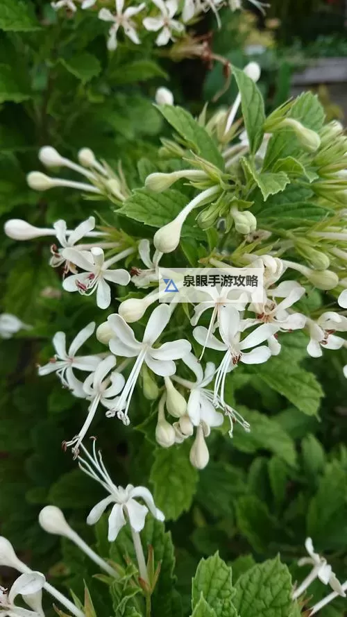 探索足交vk视频的精彩内容与最新分享图1