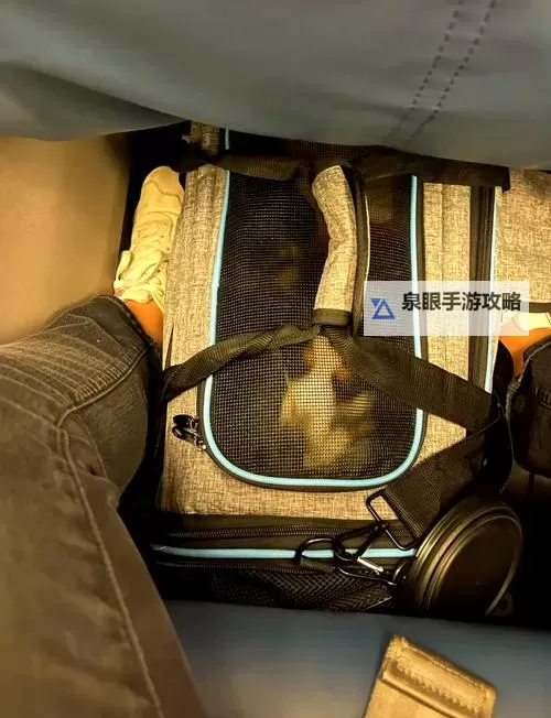 探索极限：在飞机被调教中的奇妙体验图1