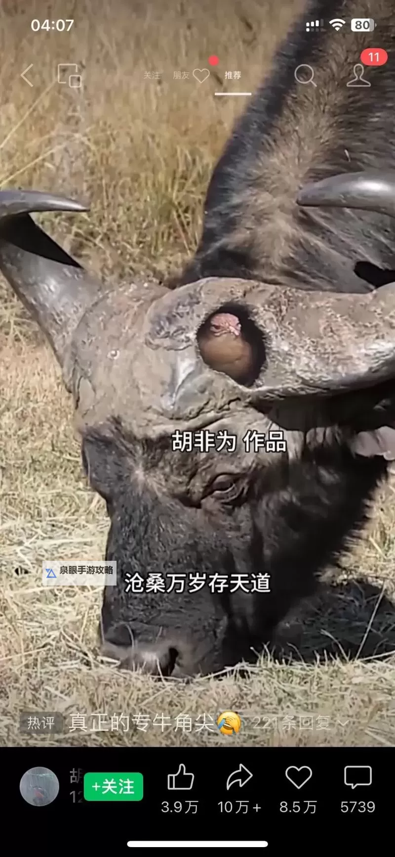 老牛草久在线：探寻自然田园的宁静与魅力图1