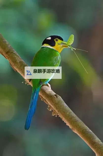 五福影院最新进入视频：全面解析最新影视资源更新动态图1