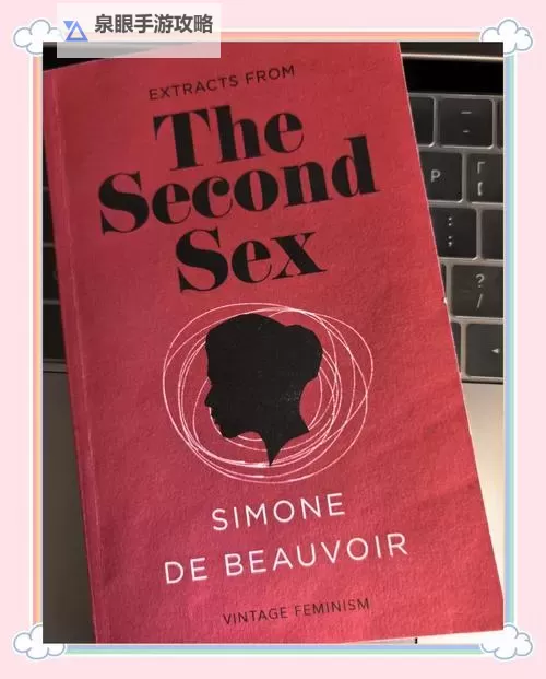 《尽览无限精彩：杂乱合集全文阅读全攻略》图1