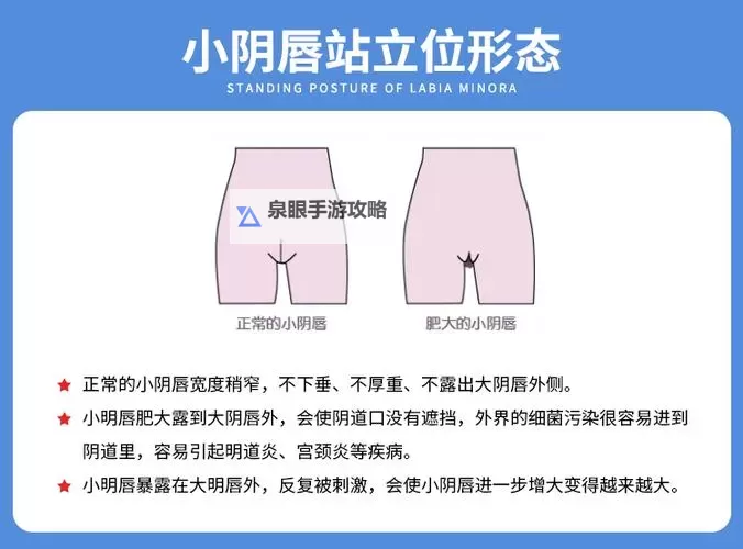 正常阴唇的样子照片视频：全面展示自然美的真实样貌图1