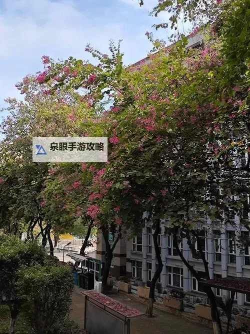 长篇连载：校园春色的纯真记忆图1