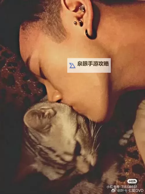 只宠你一夜：一段难忘的短暂爱情旅程图1