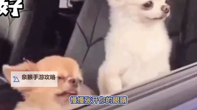 揭秘精彩瞬间！睁开眼看我们怎么玩你的视频图1