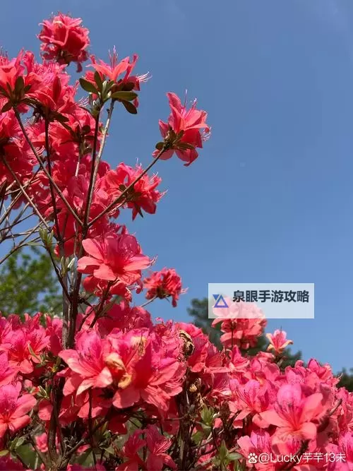 租客H1VL1：新趋势下的现代租住体验与未来展望图1