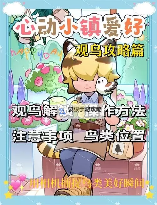 《心动小镇》知更鸟位置说明 知更鸟在哪出现图1