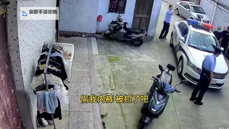 揭秘精品偷:如何识别与防范高端盗窃事件图1