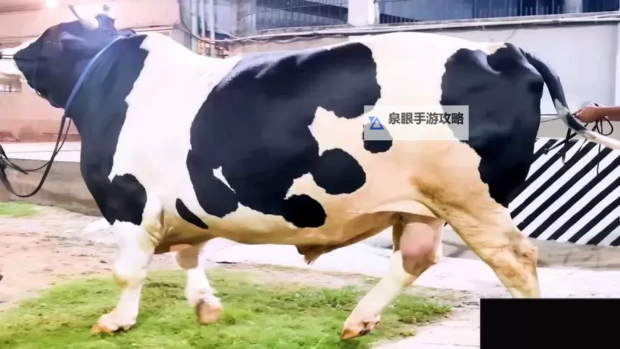 在线精品牛牛:掌握最新在线高信誉牛牛游戏平台指南图2