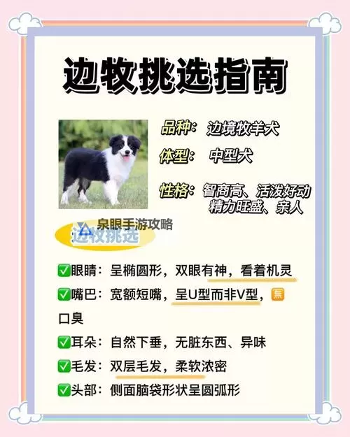 《小富婆》牧养攻略：动物类型&牧养玩法介绍图1