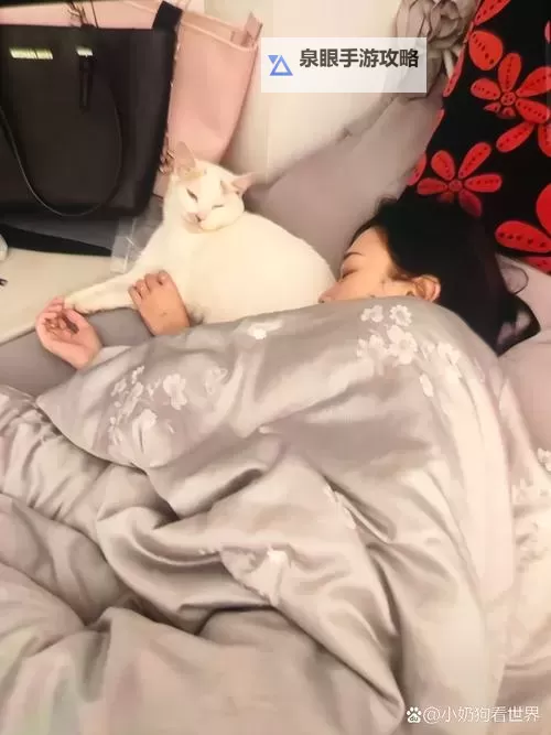 租人app可租女睡觉：安全靠谱的租人服务平台推荐图1