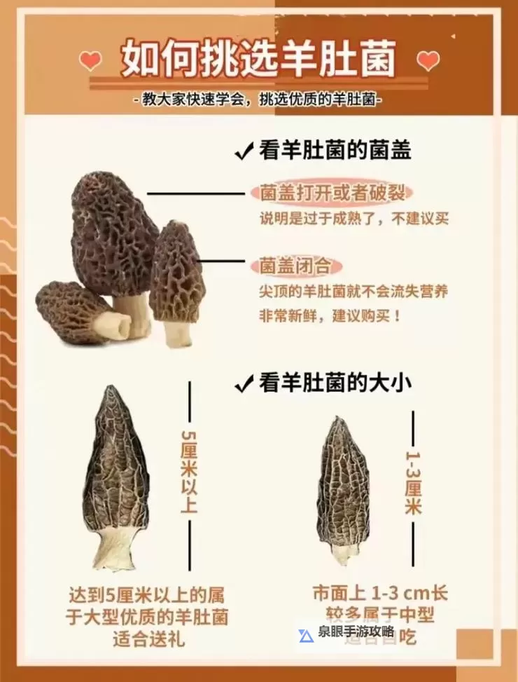 《七日世界》羊肚菌获取位置推荐 羊肚菌在哪里获取图1