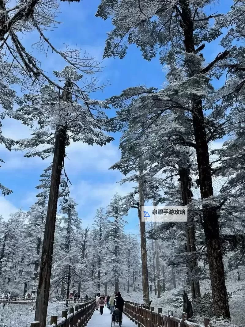 中国男同志:多元认同中的勇敢与坚守图1