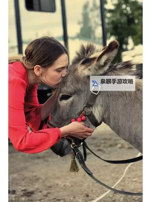 畅享精彩童趣:《小毛驴影视在线观看》完整资源推荐图1